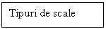 Text Box: Tipuri de scale